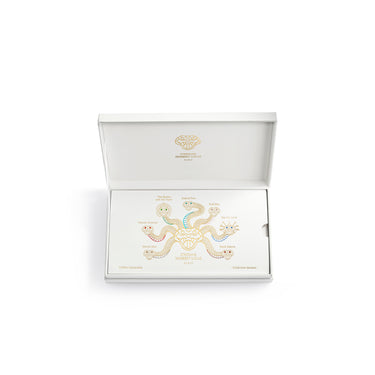Coffret Immersion - La Collection Serpent